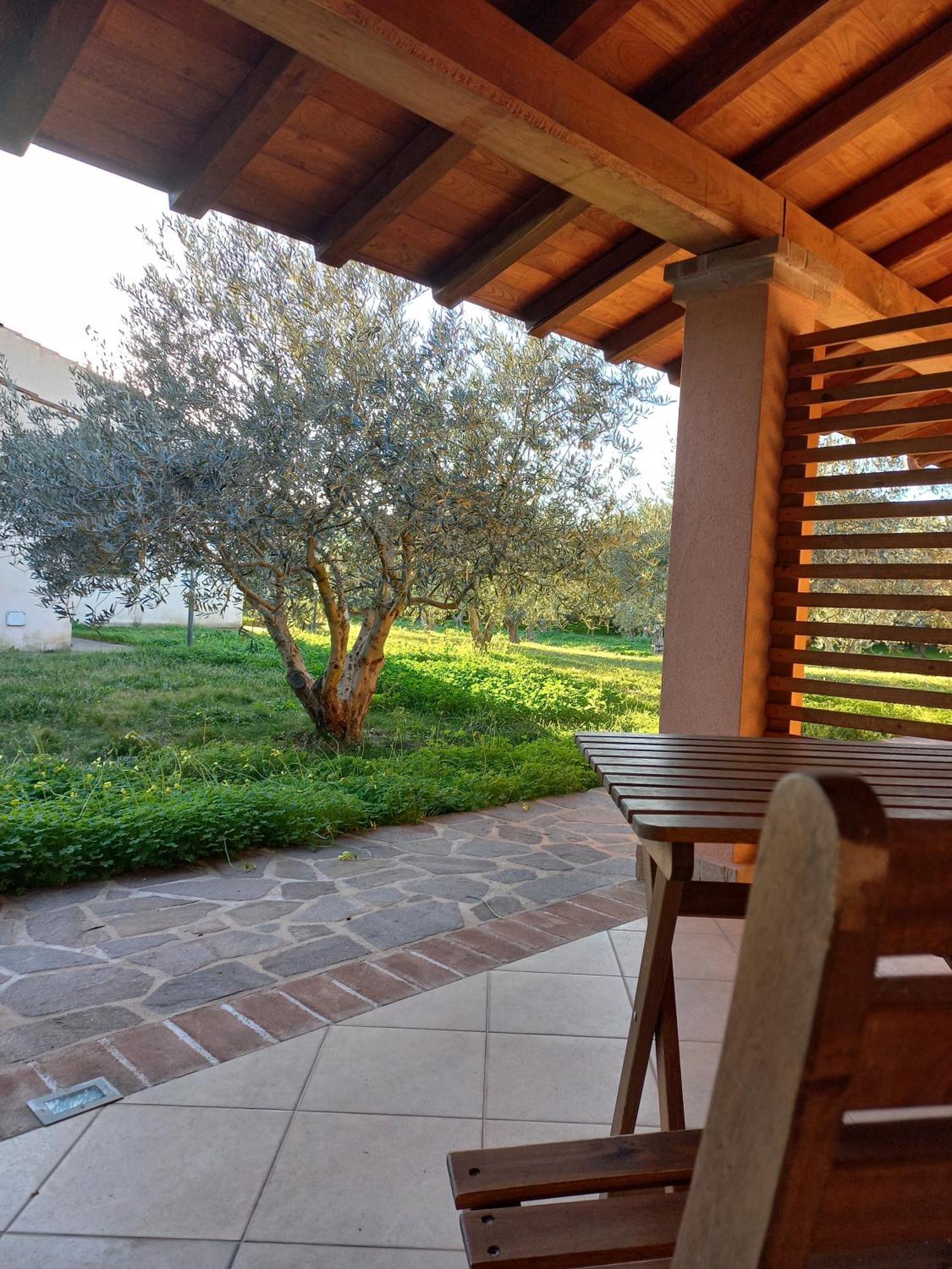 Agriturismo Villa Degli Ulivi San Vero Milis Exterior foto