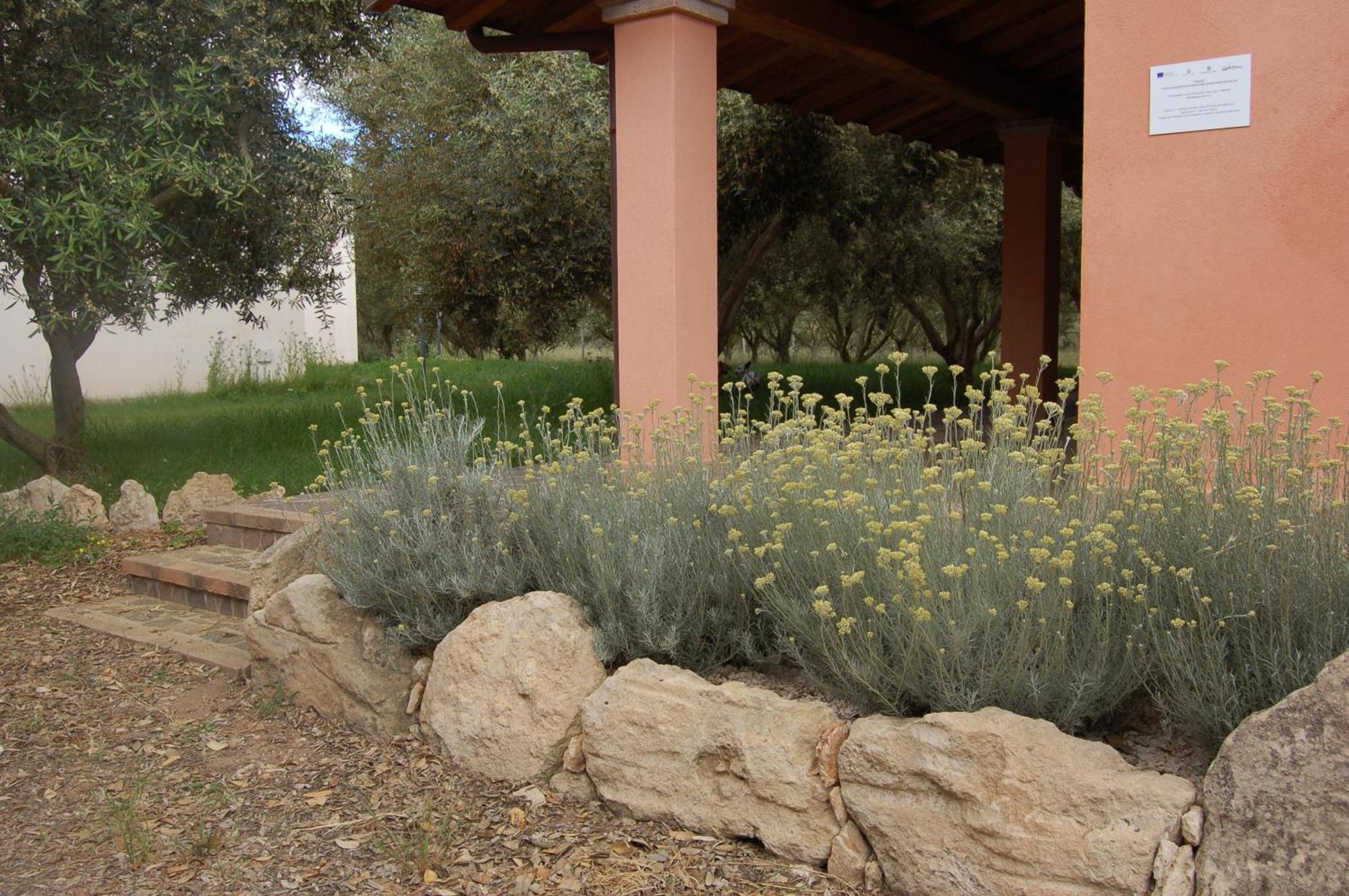 Agriturismo Villa Degli Ulivi San Vero Milis Exterior foto